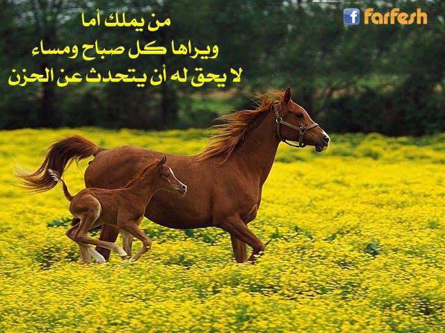 ���� �� ���� ����� ������� �� ������ ��� ���� ��� ��� �� ��