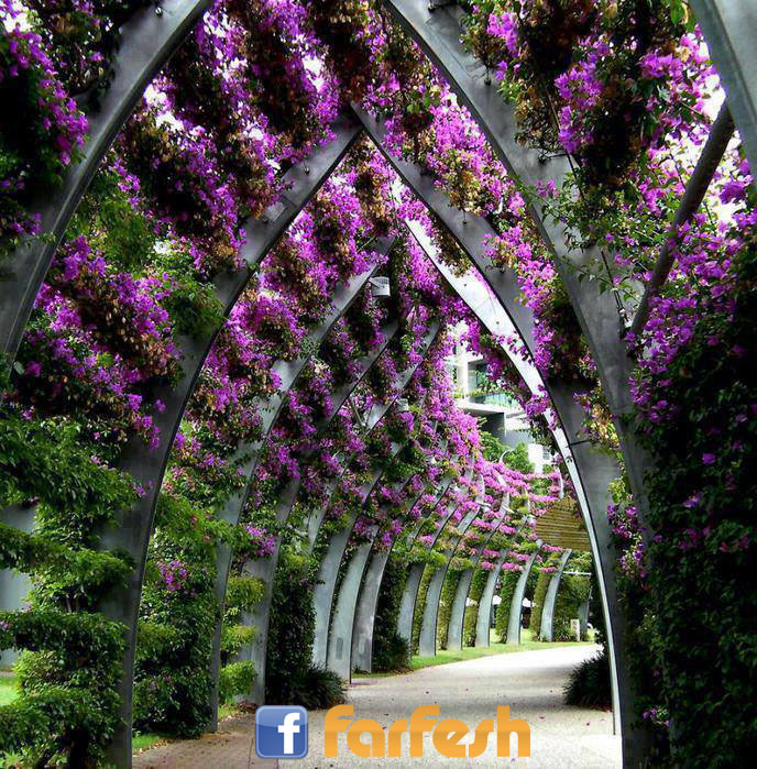 ����� ��������ϡ ��������