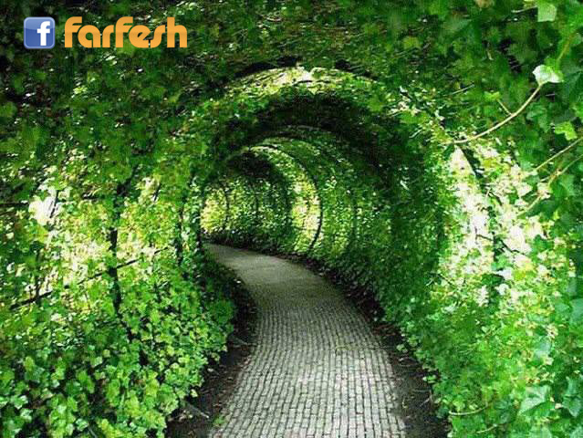 ����� ������ - ����� �����ɡ ������� �������