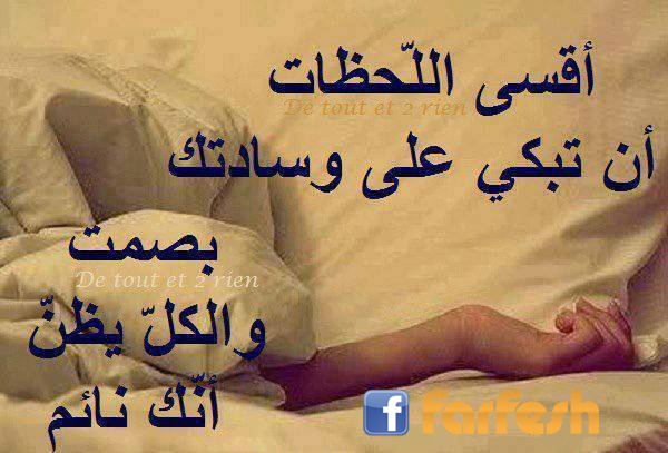 ���� �����