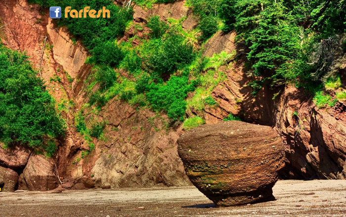 ���� ���� ���� �� ������