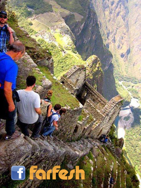 �� ���� ����� ������� �� ������  