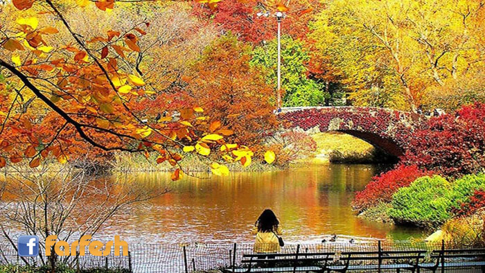 ���� ����� �� ����� ������ ���� �� �������