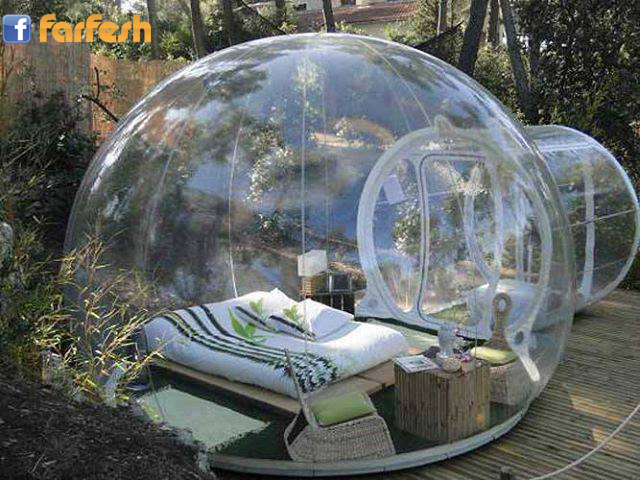 ����� ���������