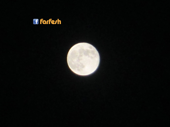 ���� ������ ����� ���� ��� ������