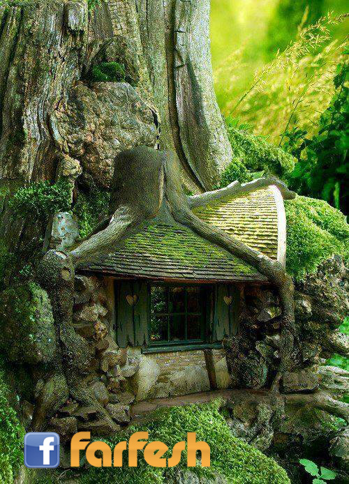 ���� ���� �� ��� ���