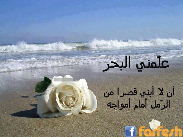 ���� ����� �����