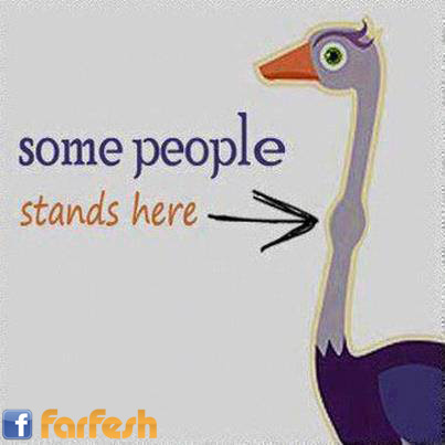 �������� �� �����