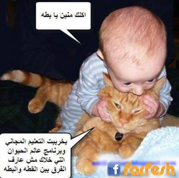 ���� ���� �� ���