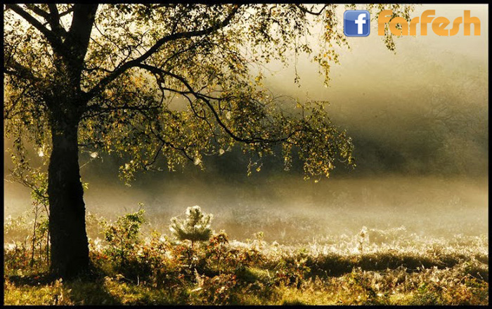 ������ ������� :-)