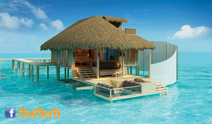 ���� �� ��� ����������