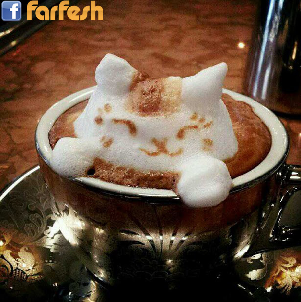 ���� ������ ����� �� ���� ������� ���� ������ ������ ��������.