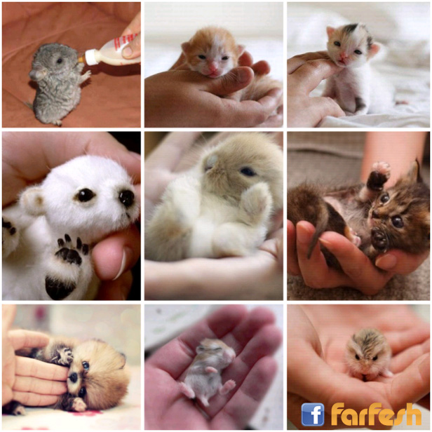 ����� ������