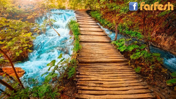 ���� ����