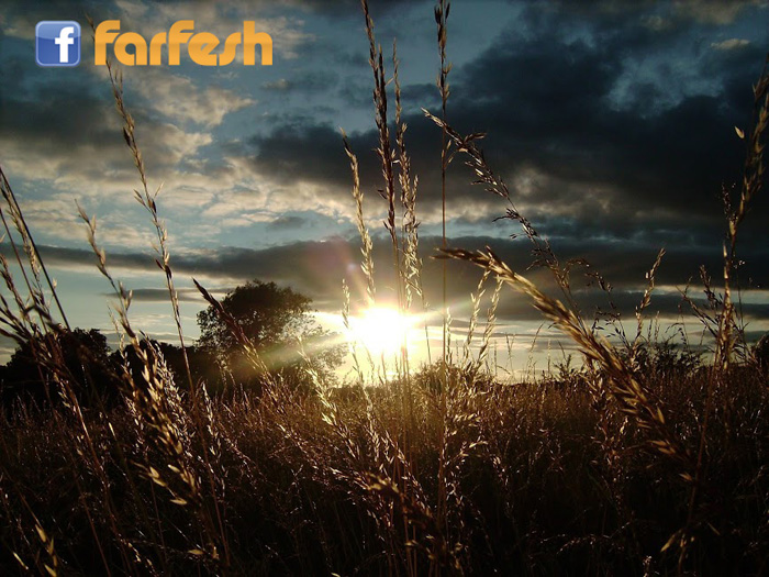 ���� ����� ���� �������