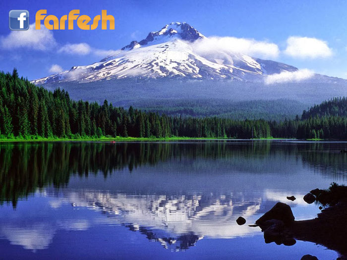 ��� �������