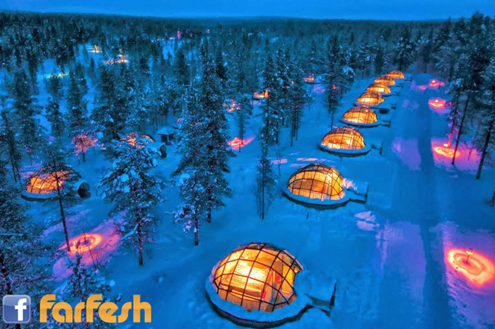 ���� ��� �������� ���������