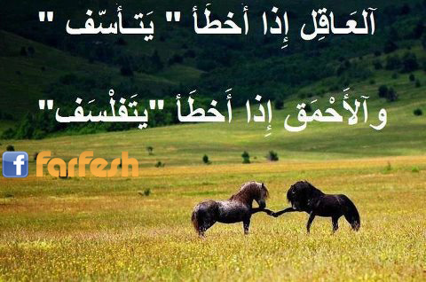 ����� ��� ������ �������