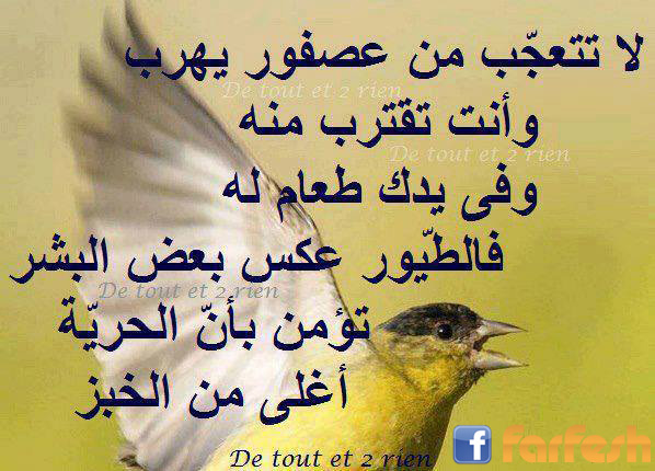 ������ ���� �� ����