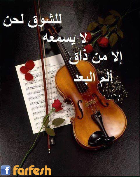 ������ ��� ���� ���� ������ 