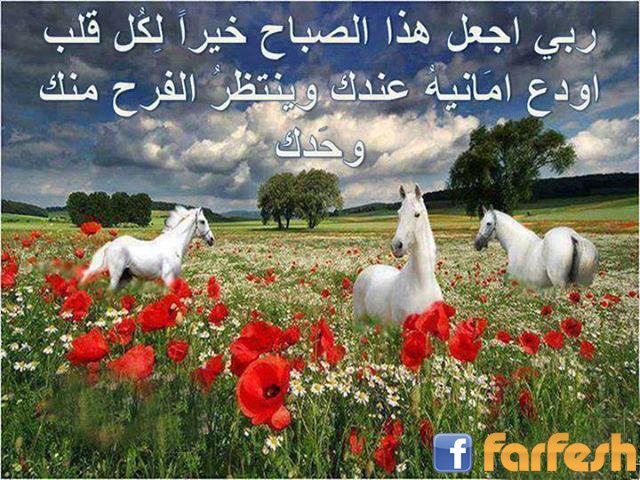 ���� ����