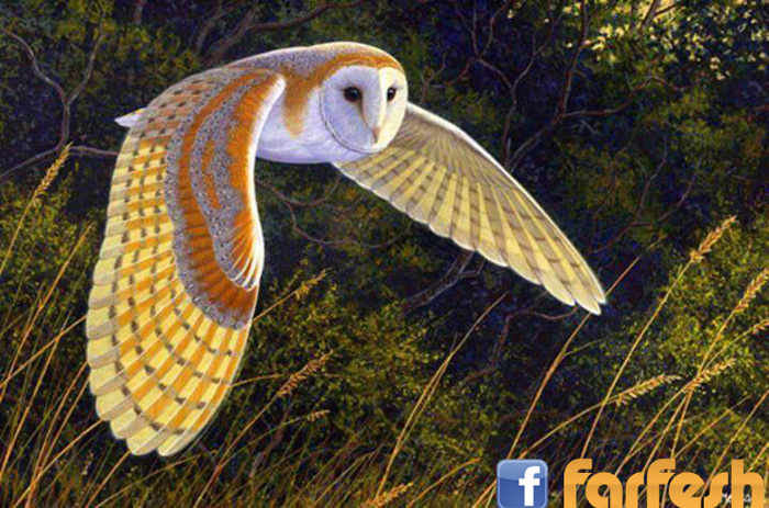 ������ �������