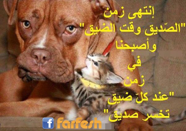 ����� ��� ������ �� ��� �����