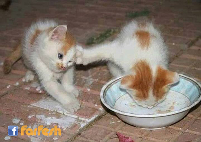 ���� �� ��� !!!