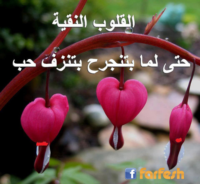 ���� ���� �����