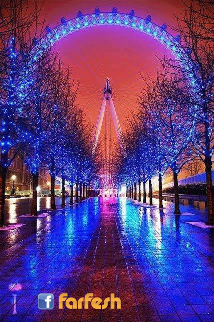  ���� �������