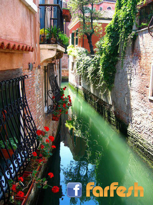 ��� ��� �� �������