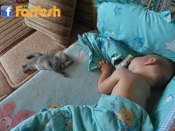 ��� ������� �� ���� :-)