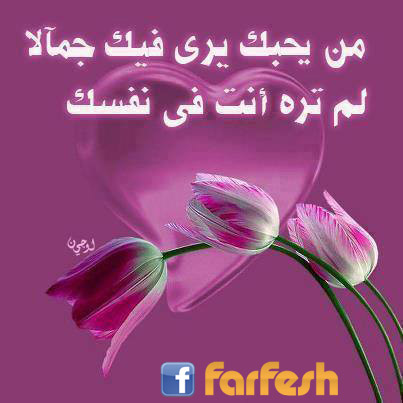 ���� �������