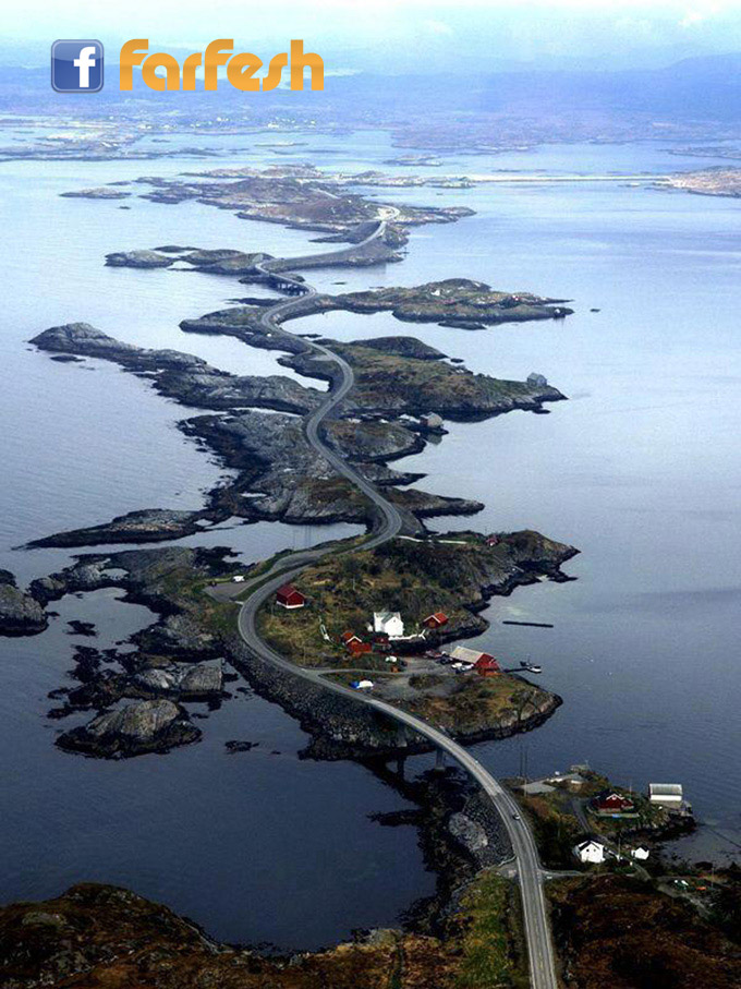 ���� ������ ������� �������