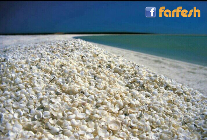 ���� �����