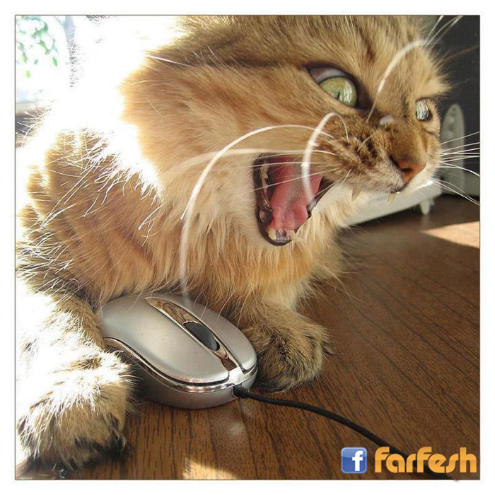 ���� ���� ��� !!!!