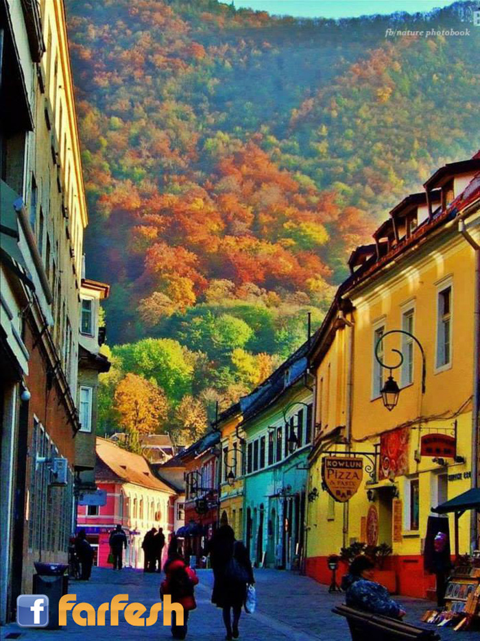 ���� ������� ...������ �� ���� �� �����