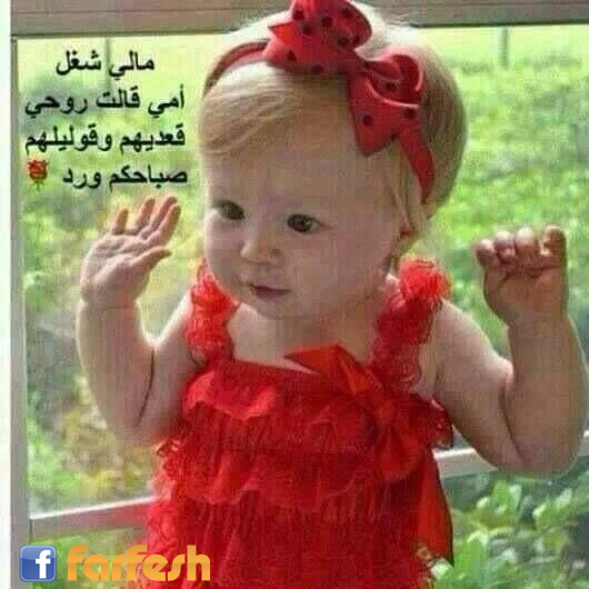 ������ ����� �� ������� ����� ����