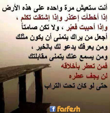 ���� ����� .. �� ���� ������� �� ��� ���� ����