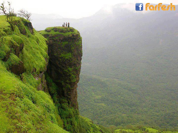 �� ���� ������ ������ ���