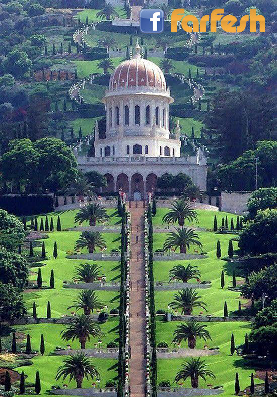 ����� ��������� �� ����