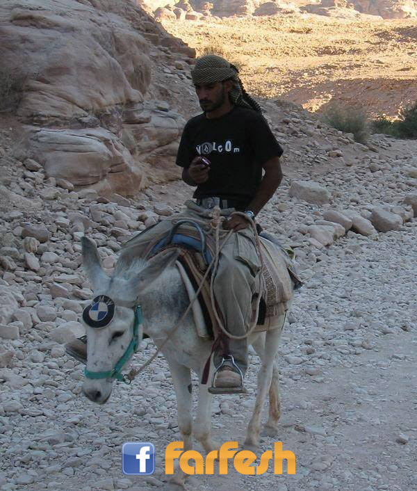 ��� ������.