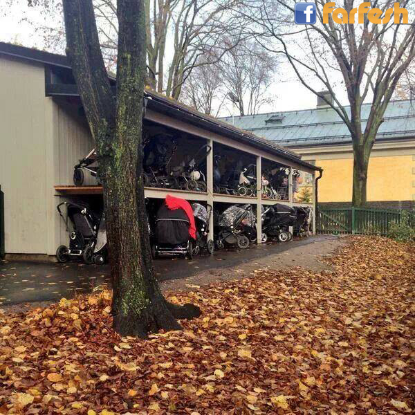 ���� ������ ������� �� ������  