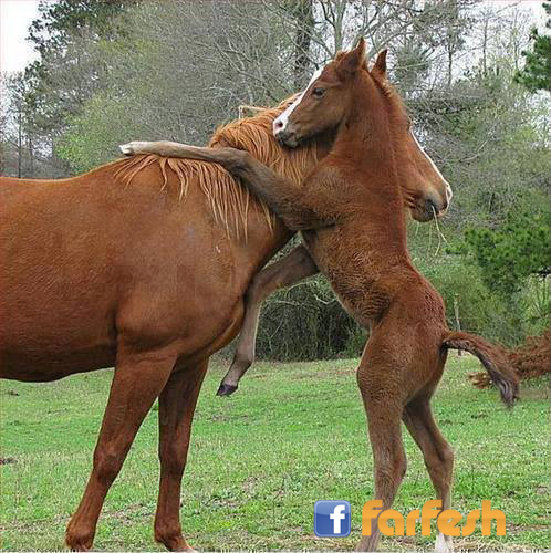 �� ���� ���� ����