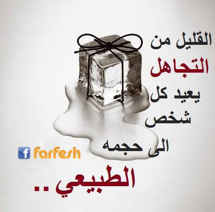 ���� ����