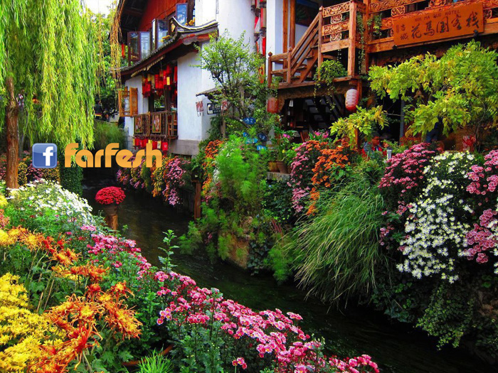 ������� �����