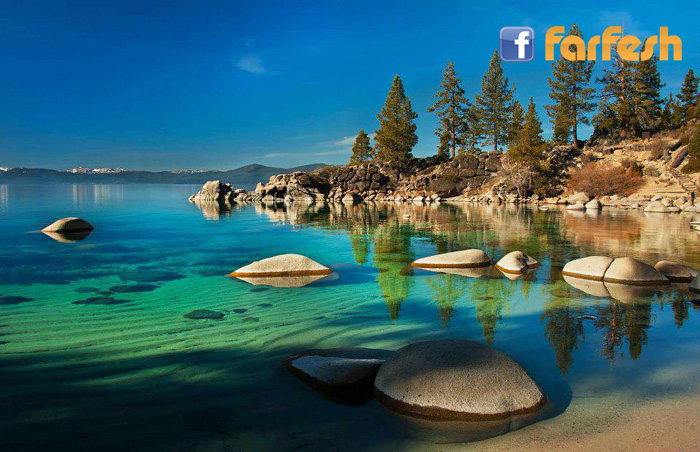 ����� ����� �� ����� ���� �� ����� ������