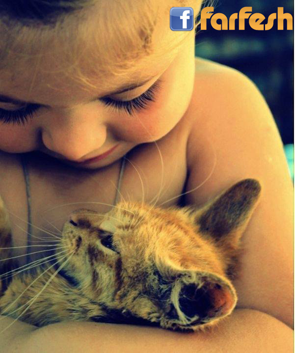 ������ ������