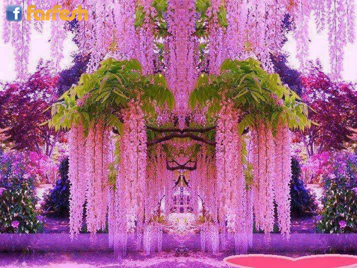 ���� ��������� ������ �������