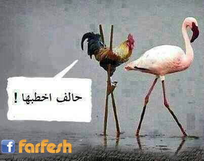 �����������������